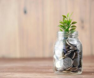 Advisory & Consulting Services: Guiding Somali-American Businesses Toward Sustainable Growth